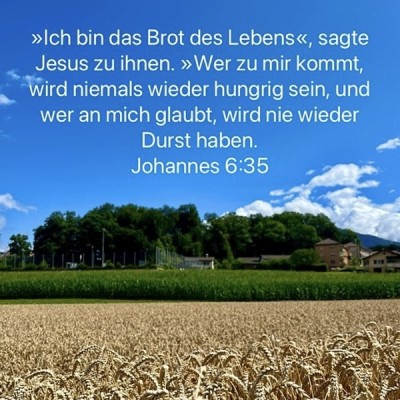 brot lebens.jpg