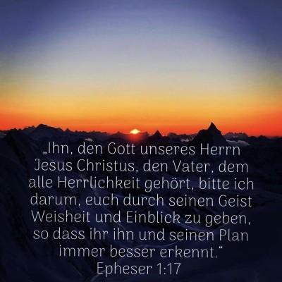 Weisheit einblick.jpg