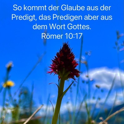 galube aus predigt.jpg
