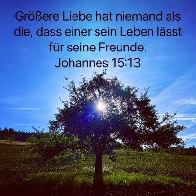 grössere Liebe Kopie.jpg