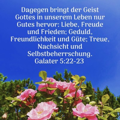 gutes hervor.jpg