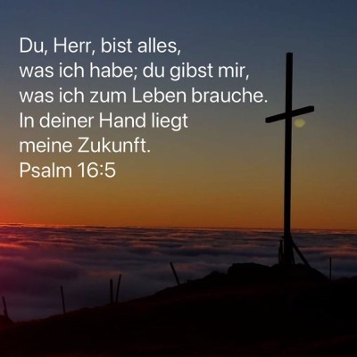 herr alles Kopie.jpg