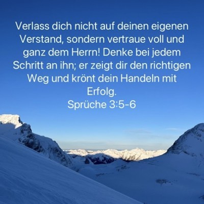 verstand.jpg