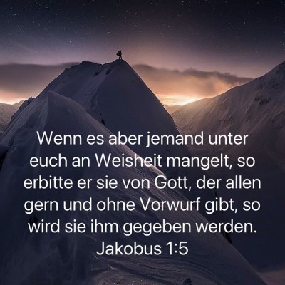 weisheit mangelt.jpg