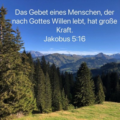 willen gottes lebt.jpg