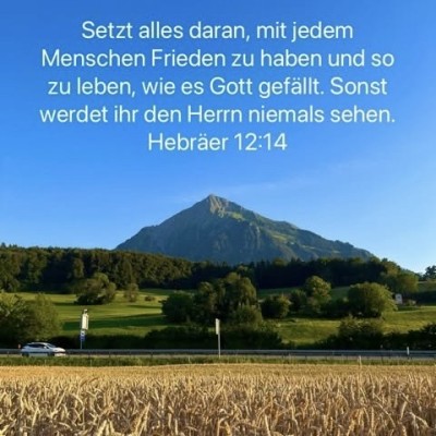 jedem frieden.jpg