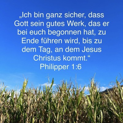 ende führen.jpg
