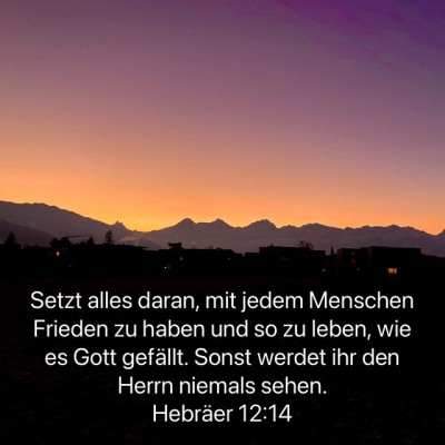 frieden leben.jpg